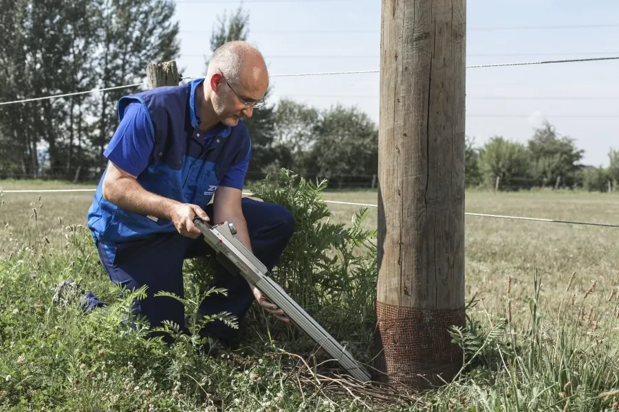 ZWP-Prüfer prüft einen Holzmast mit dem Bohrwiderstandsgerät
